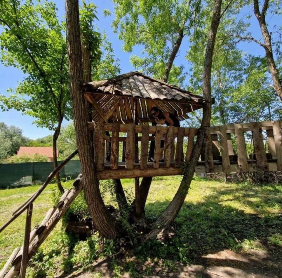 The Adventure Trail 9